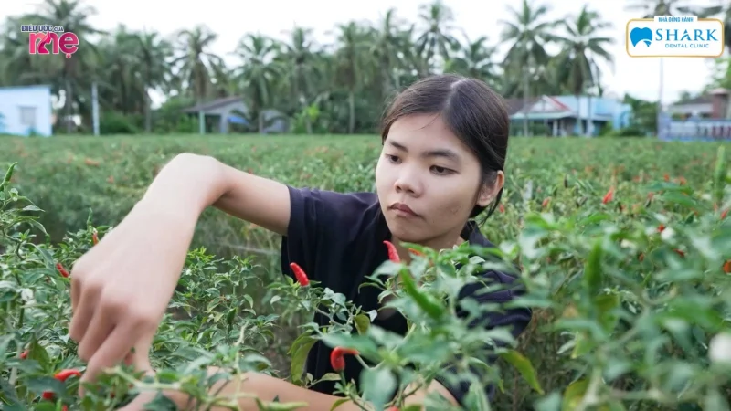 Em Võ Ngọc Bảo Ngân làm đủ công việc với hi vọng có tiền trang trải cuộc sống, nuôi mẹ và cháu