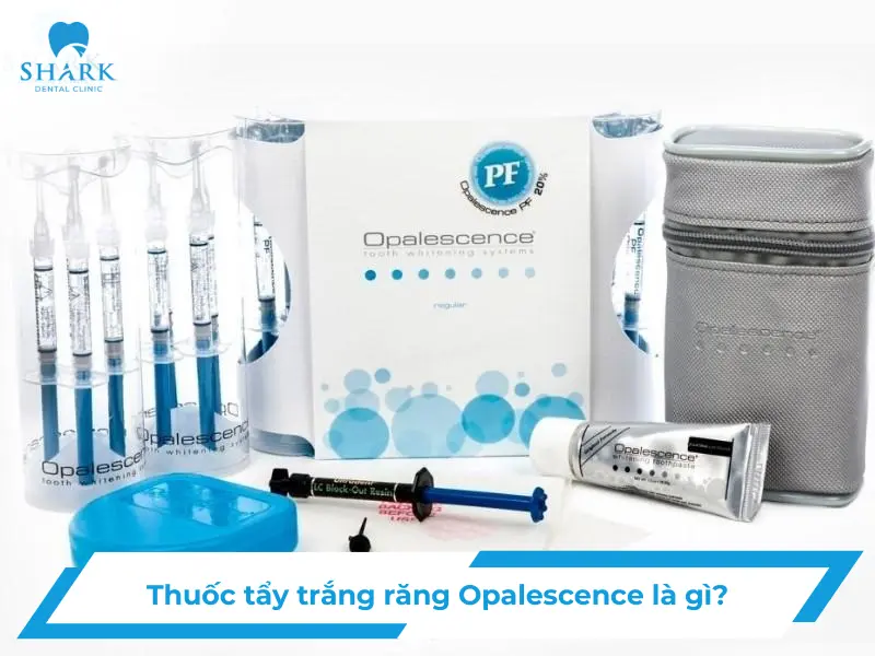 Giải pháp làm trắng răng bằng thuốc tẩy trắng răng Opalescence 13 thuoc tay trang rang opalescence