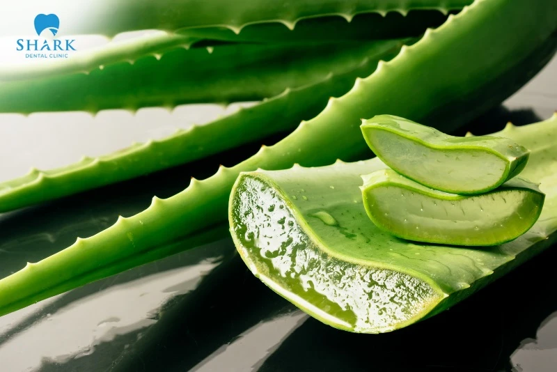 Sưng mộng răng là gì? Nguyên nhân và cách điều trị an toàn 11 Sử dụng nha đam để làm giảm cơn đau sưng mộng răng