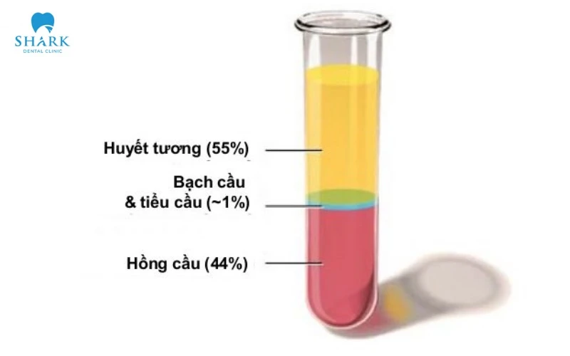 Cấu tạo của PRF gồm 3 lớp
