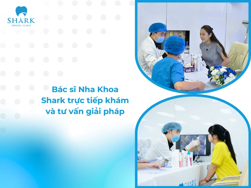 Khi lựa chọn Nha khoa Shark, bạn sẽ được các bác sĩ trực tiếp thăm khám và tư vấn giải pháp phù hợp với tình trạng răng miệng của bạn