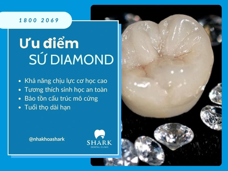 Sứ Diamond có khả năng chịu lực cao có thể phục hình ở mọi vị trí răng