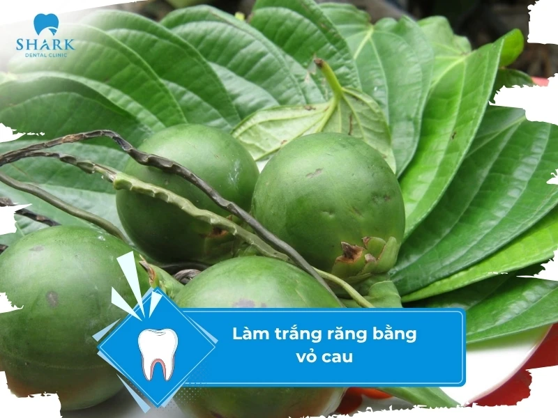 10 Mẹo làm trắng răng trong 5 phút tại nhà hiệu quả và an toàn 27 Quả cau làm trắng răng