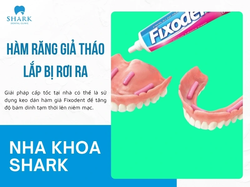 Hàm giả bị rớt có thể dùng keo dể dán lại