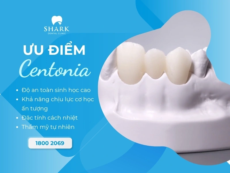 Sứ Centonia có nhiều ưu điểm vượt trội