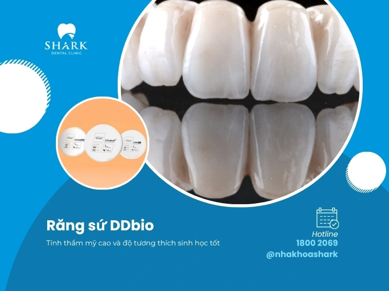 Răng sứ DDbio có tính tương thích sinh học cao làm rút ngắn thời gian phục hồi