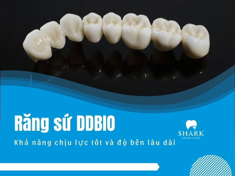 Sứ DDbio có khả năng chịu lực vô cùng tốt