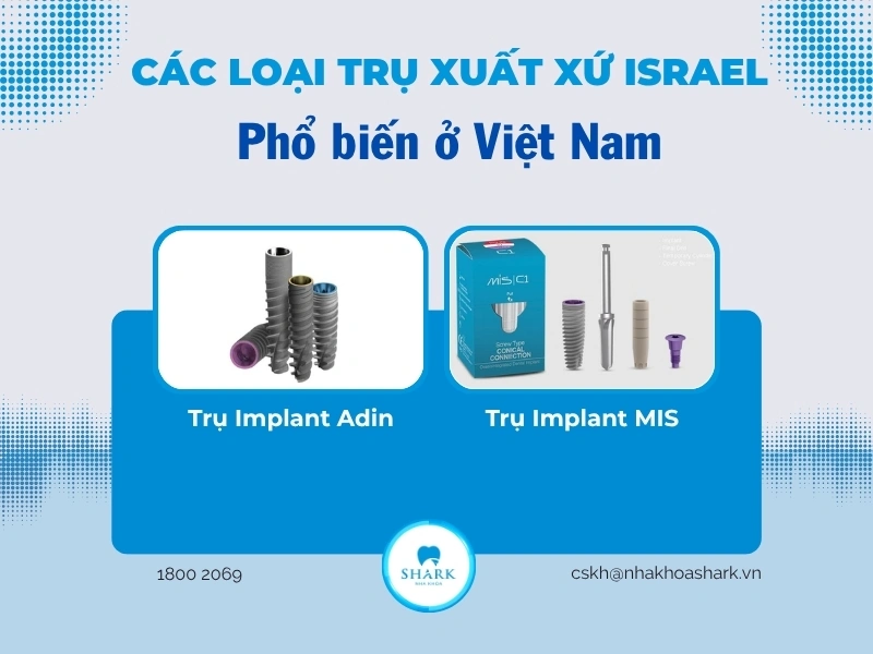 Các loại trụ Israel phổ biến ở Việt Nam