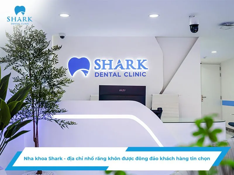 Nhổ răng khôn có làm giảm trí nhớ không? Góc nhìn chuyên gia 11 Nha khoa Shark - địa chỉ nhổ răng khôn được đông đảo khách hàng tin chọn