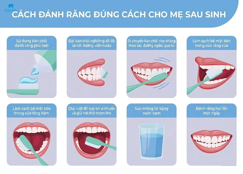 Sau sinh bao lâu thì đánh răng? Hướng dẫn từ bác sĩ nha khoa 5 Mới sinh bao lâu mới được đánh răng