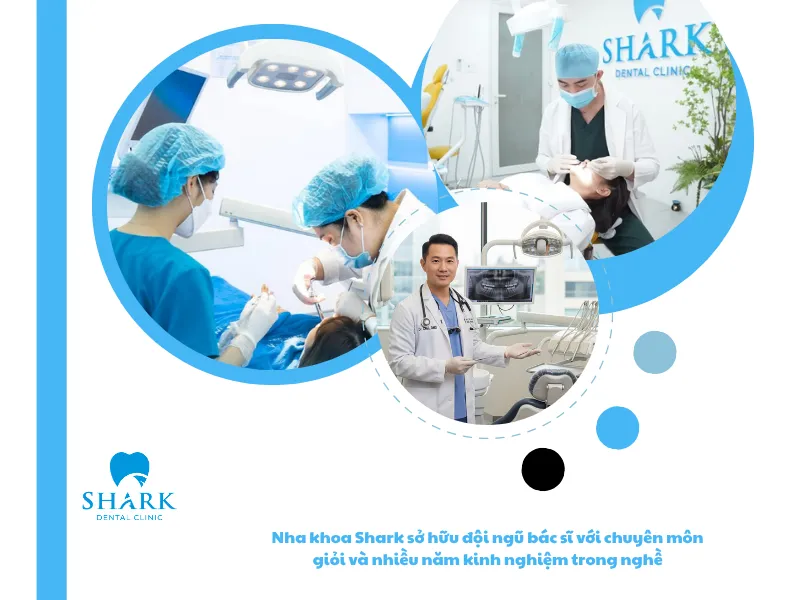Nha khoa Shark sở hữu đội ngũ bác sĩ với chuyên môn giỏi và nhiều năm kinh nghiệm trong nghề