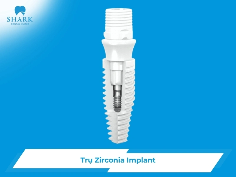 Trụ Zirconia Implant là gì? So sánh Zirconia và Titanium Implant 10 Trụ Implant Zirconia