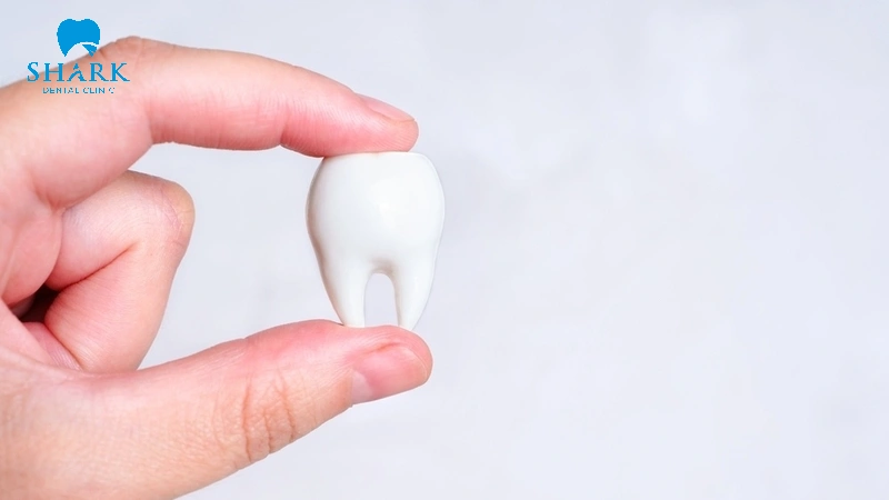 Răng cấm không thay và chỉ mọc một lần duy nhất từ khi trẻ lên 6 tuổi