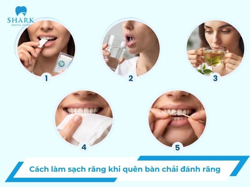 6 cách làm sạch răng khi không có bàn chải "cứu tinh" cho bạn 27 Cách làm sạch răng khi không có bàn chải