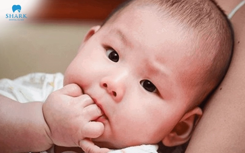 Dấu hiệu và hình ảnh lợi trẻ sắp mọc răng cửa, răng hàm 14 Bé gặm tay