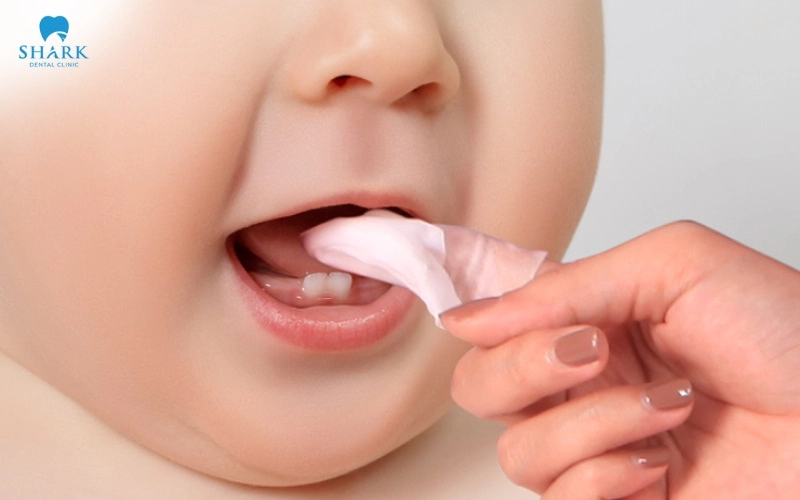 Dấu hiệu và hình ảnh lợi trẻ sắp mọc răng cửa, răng hàm 18 Vệ sinh răng miệng đúng cách cho trẻ