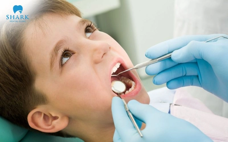 Giá cạo vôi răng tại Nha khoa Shark cho trẻ em dao động trong khoảng 100.000 - 450.000 VNĐ/răng