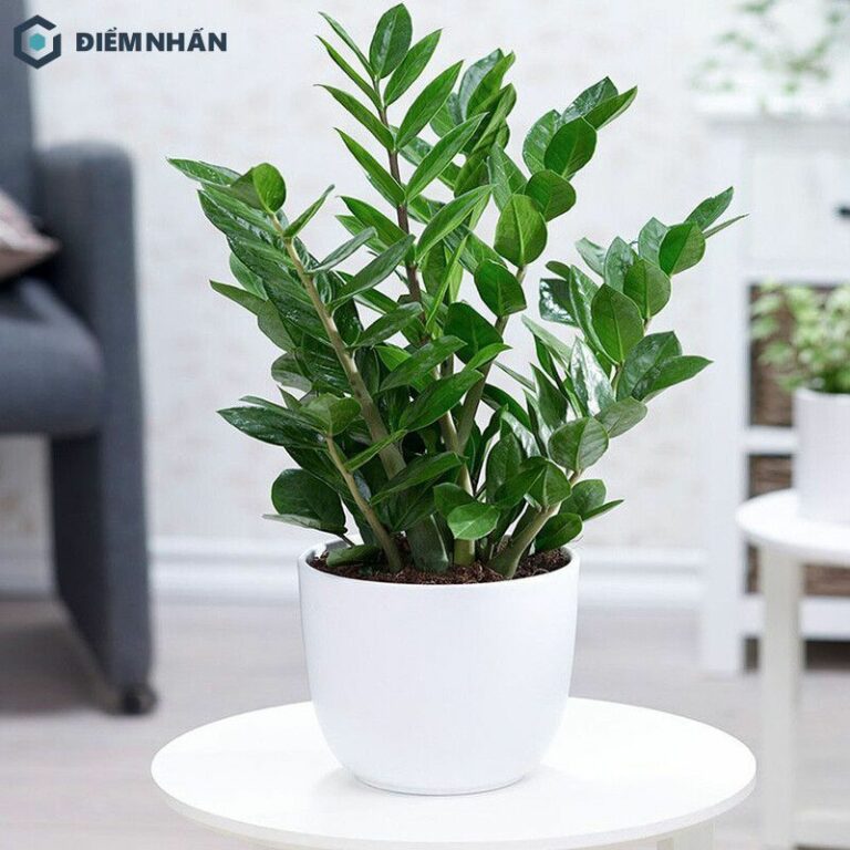 8 ý tưởng trang trí cây xanh trong nhà đẹp hợp phong thủy