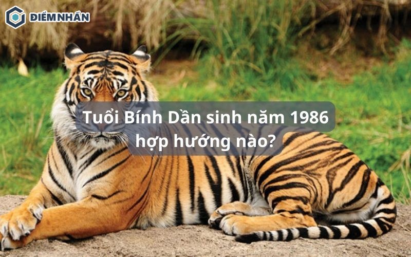 Tuổi Bính Dần sinh năm 1986 hợp hướng nào