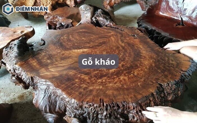 Gỗ kháo đỏ có tốt không? Phân loại và giá gỗ kháo 2023