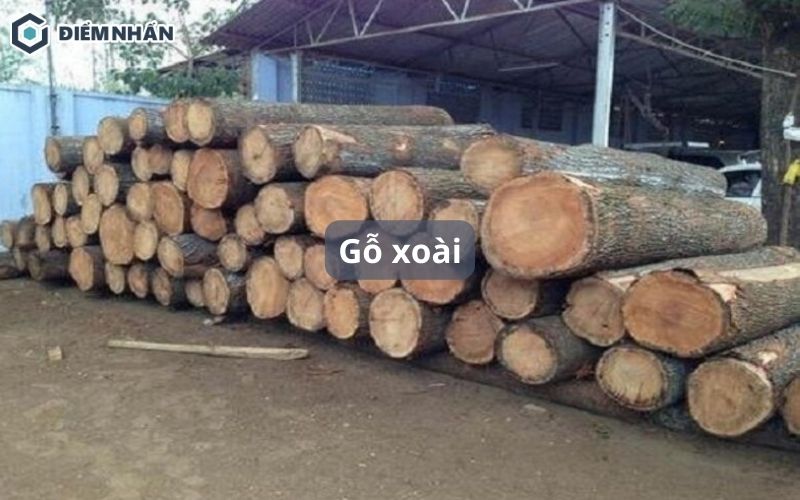 Gỗ xoài