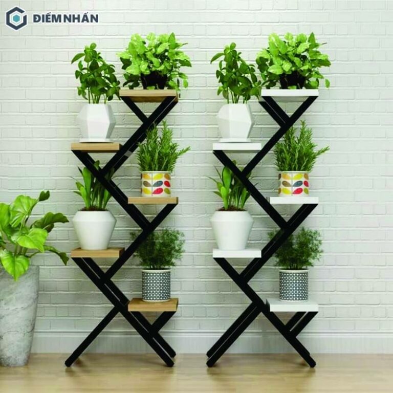 8+ ý tưởng trang trí cây xanh trong nhà đẹp hợp phong thủy