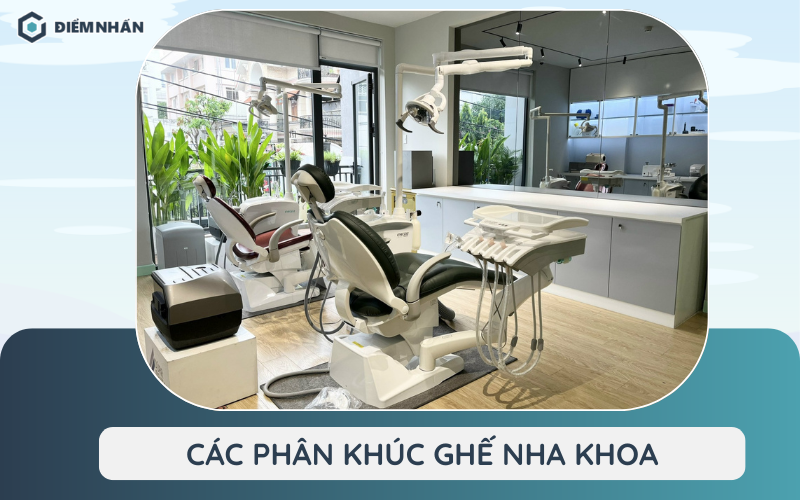 Các phân khúc ghế nha khoa