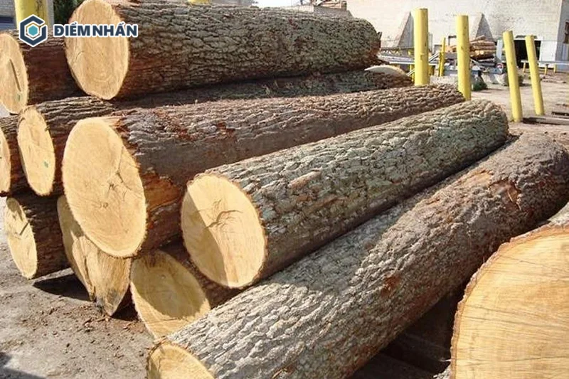 Theo như bảng phân loại gỗ tại Việt Nam, gỗ cao su được xếp vào nhóm gỗ VII