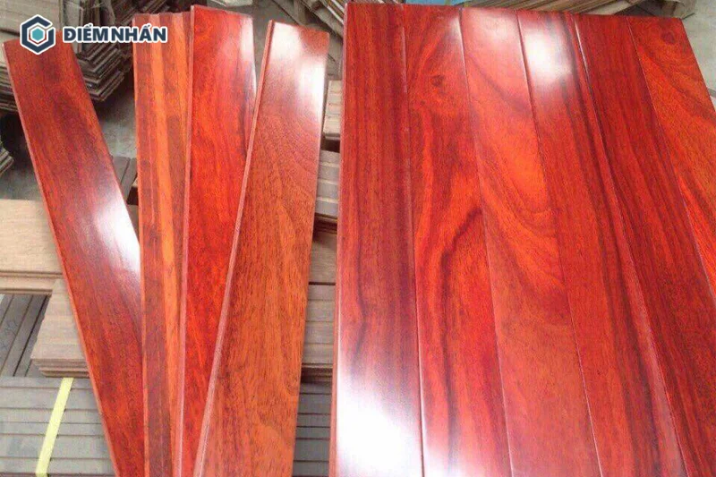 Đặc điểm của gỗ cây Sơn Huyết là có màu đỏ như máu, khác biệt với những loại gỗ khác