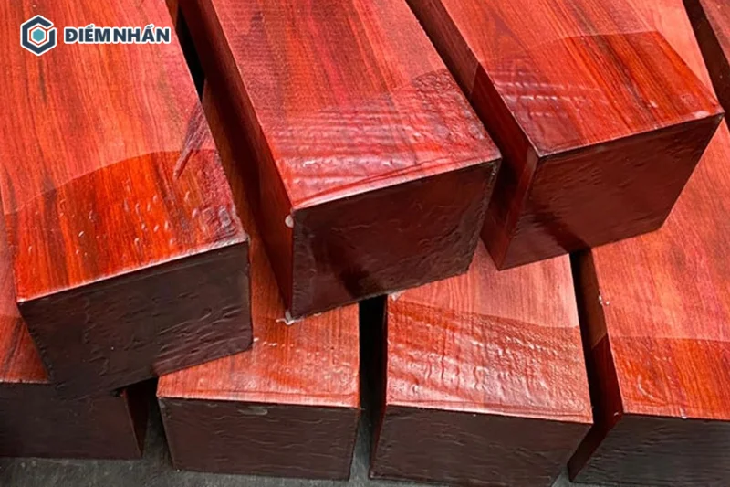 Gỗ cây Sơn Huyết tại Việt Nam được xếp vào nhóm gỗ quý hiếm I