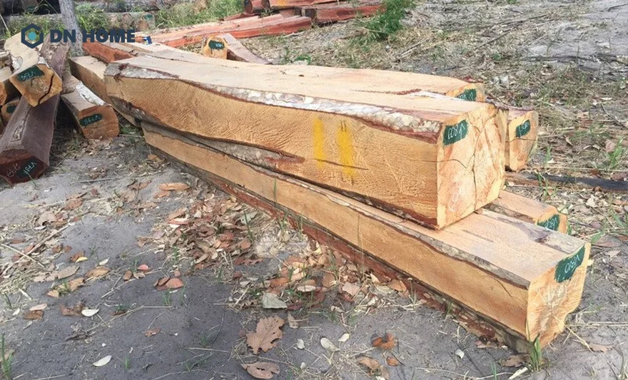 Gỗ cây bằng lăng nước thường phân bố phổ biến ở vùng nước ngập