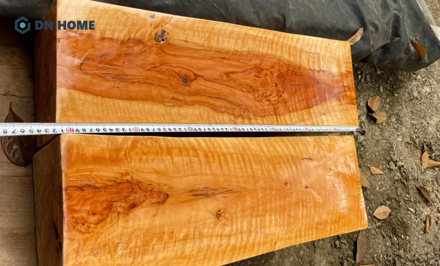 Hiện nay giá gỗ cây bằng lăng cườm dao động từ 14 đến 20 triệu VNĐ/m3