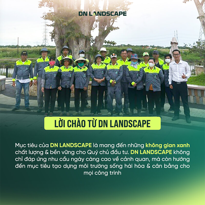 Tháng 09/2025, DN HOME chính thức ra mắt DN LANDSCAPE - Thương hiệu Thiết kế - Thi công - Bảo dưỡng cảnh quan