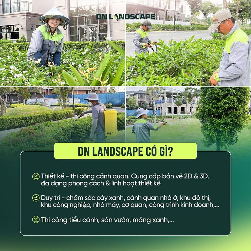 DN LANDSCAPE tự tin là giải pháp toàn diện, tối ưu cho mọi công trình xanh