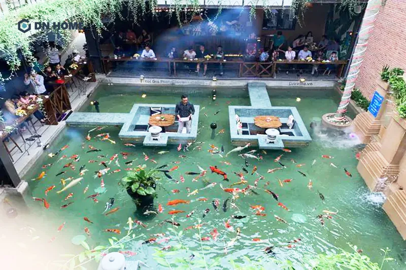 Quán cà phê cá KOI là mô hình F&B độc đáo, mới lạ nên nhanh chóng gây ấn tượng và thu hút khách hàng