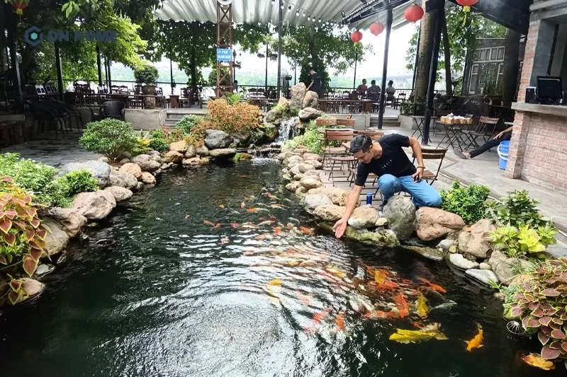 Cần chú ý bố trí hồ cá ở hướng hợp mệnh với chủ đầu tư quán cà phê cá KOI