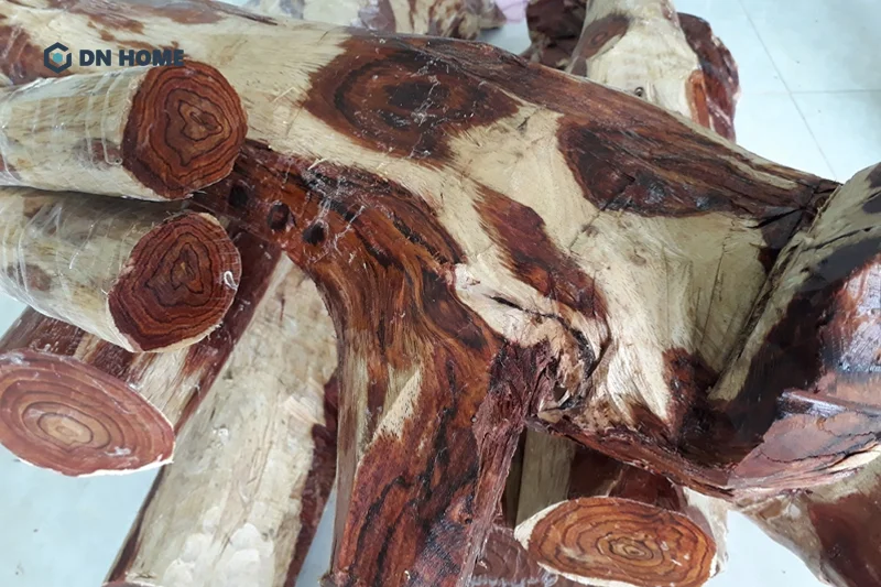 So với các dòng gỗ quý khác, gỗ cây sưa có giá thành cao hơn vì nguồn cung khan hiếm