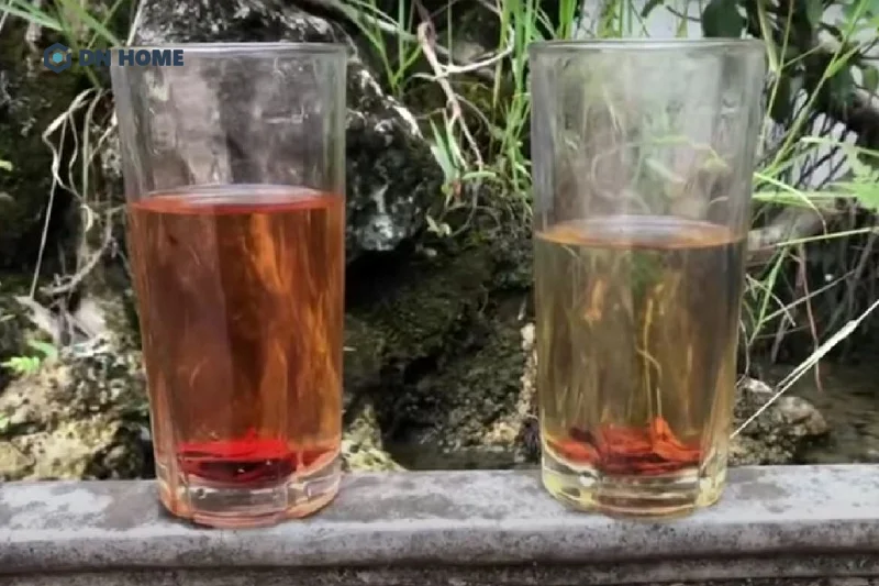 Bạn có thể nhận biết gỗ cây sưa thật đơn giản bằng việc cho một lát gỗ nhỏ vào cốc nước sôi