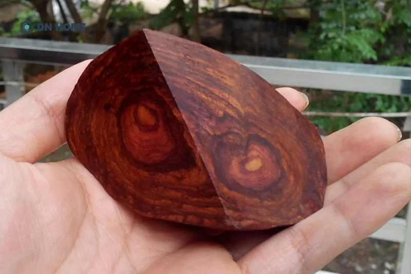 Hoàn toàn có thể nhận biết gỗ sưa qua mùi hương, nhưng cần người có kinh nghiệm thực hiện