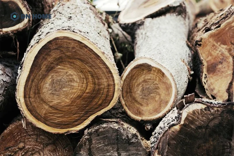 Gỗ tràm là loại gỗ được khai thác từ cây tràm hay còn có tên gọi khác là cây khuynh diệp, keo lưỡi liềm,...