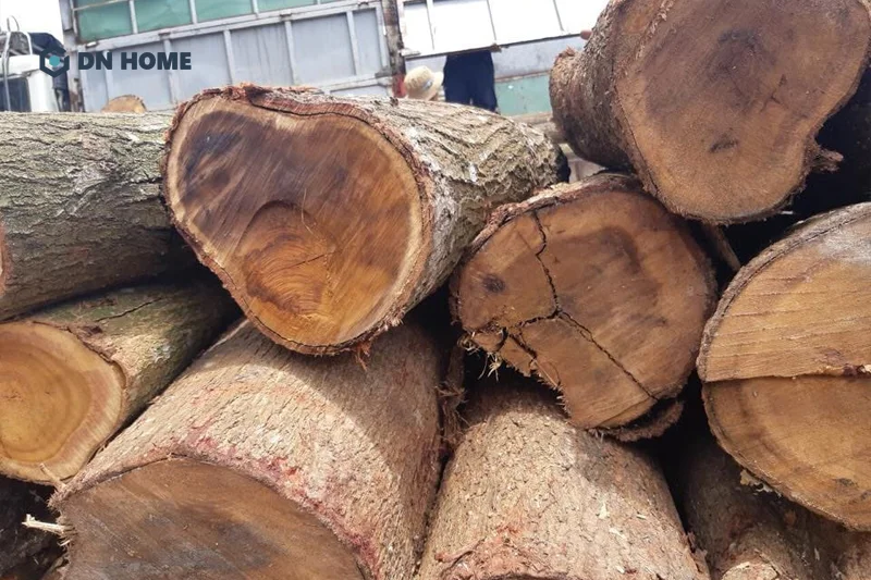 Tùy thuộc vào độ tuổi mà có sự chênh lệch lớn về chi phí, giá thành của gỗ tràm