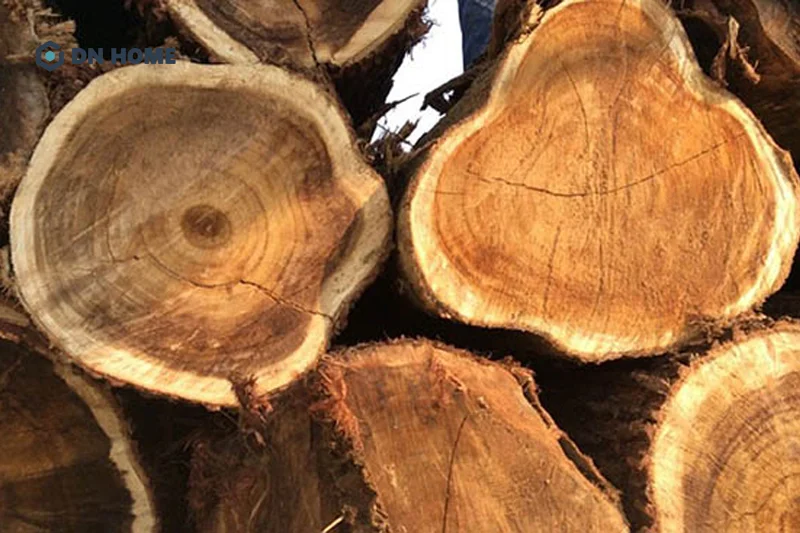 Theo bảng phân loại gỗ Việt Nam, gỗ tràm được xếp vào nhóm IV có độ bền trung bình