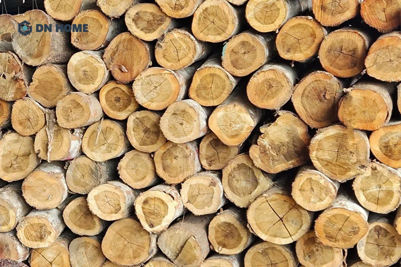 Gỗ tràm có màu sắc đặc trưng và vân gỗ mịn nên được đánh giá khá cao về tính thẩm mỹ