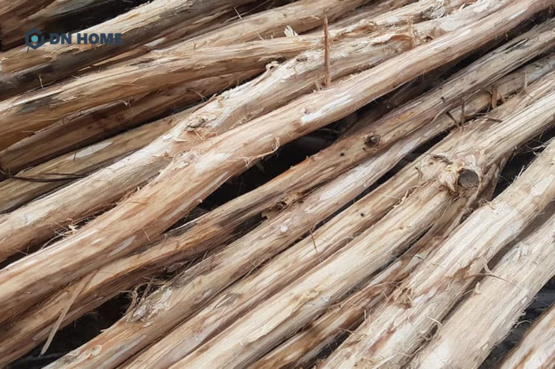 Tràm cừ có độ bền chắc chắn và bền bỉ nên được sử dụng trong các hạng mục xây dựng