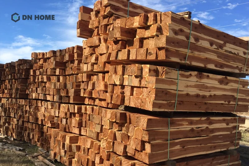 Gỗ tràm gió là loại gỗ quý hiếm, có tính thẩm mỹ cao nhất với màu nâu đỏ đặc trưng và độ bền cao
