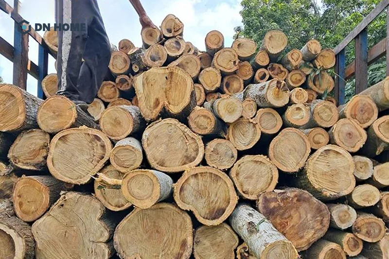 Gỗ tràm là loại gỗ tốt, có tính thẩm mỹ và chất lượng ổn định trong phân khúc giá rẻ đến trung bình