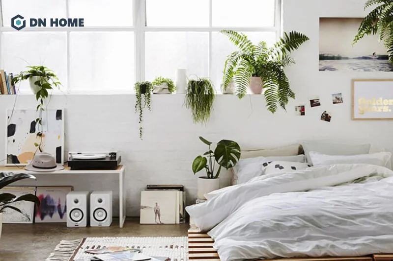 Phòng ngủ không giường nhỏ nên trang trí thêm cây xanh để tạo cảm giác thoáng đãng