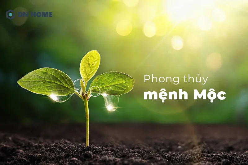 Gỗ cây bách xanh với xác nâu ngả xanh tượng trưng cho hành Mộc nên phù hợp với người mệnh Kim