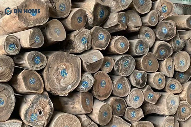 Tùy thuộc vào nhiều yếu tố khác nhau mà giá thành gỗ cây bách xanh có sự chênh lệch ở mỗi thời điểm