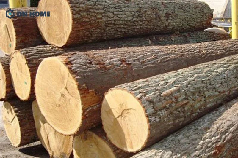 Thớ gỗ cây bách xanh chắc và dày, vì vậy có tính ổn định cao, ít bị cong vênh hay nứt nẻ